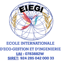 Bienvenue sur la plateforme de formation en ligne de l’École Internationale d’Éco-Gestion et d’Ingénierie.